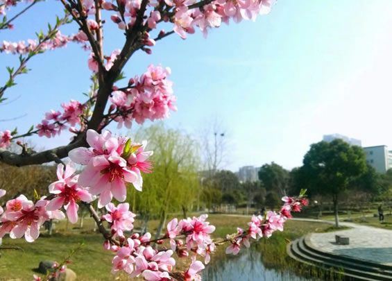 江南春色
